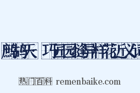 鹧鸪天·巧匠园缝异样花近义词是什么意思的图片